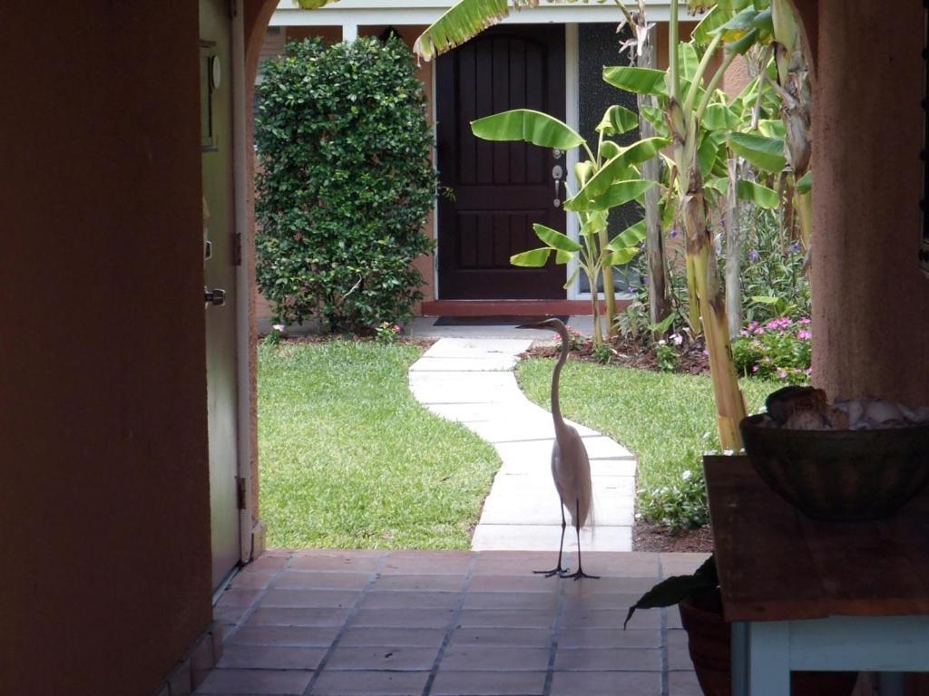 Beach Road Villas Sanibel Exterior foto